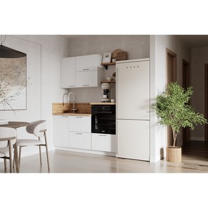 �������� �������� 1650 ����� (�����)