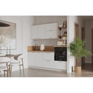 �������� �������� 2100 ����� (�����)