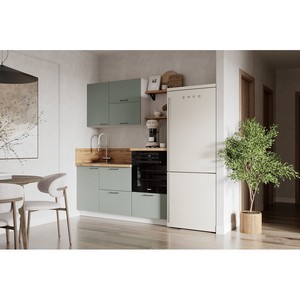 �������� �������� 1650 ����� �����