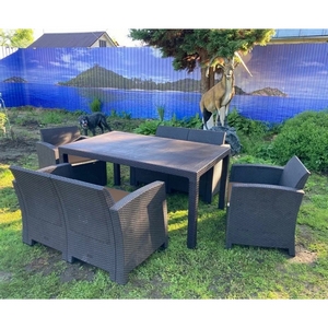     (California Family Set)