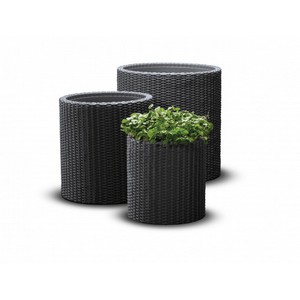 �������� ����� 3 �� CYLINDER PLANTERS (������)