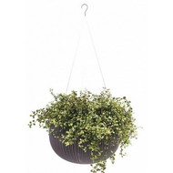 ����� ��������� COZY Planter S 3,2L (���������)
