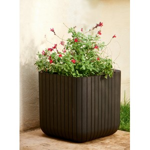 ����� CUBE PLANTERS 22� (����������)