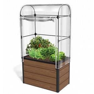 ������-������� Maple green house (����������)