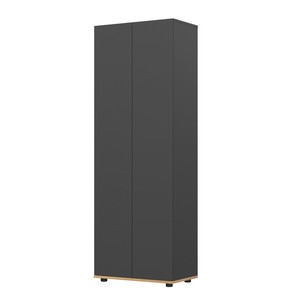 Шкаф для одежды Amazon (серый графит, дуб вотан)