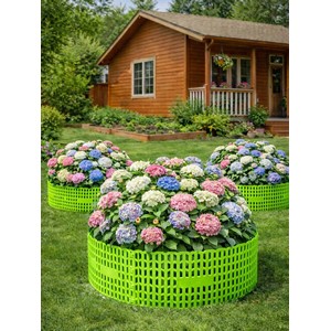 ������ ������� �������� �������� 10 �� (�������)